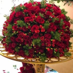 Meet your Posher, Shaima